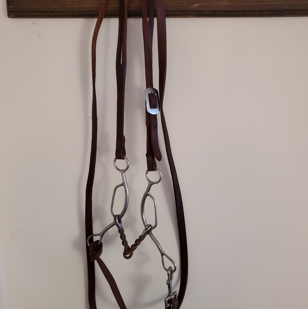 Horse bridle, gag bit and reins